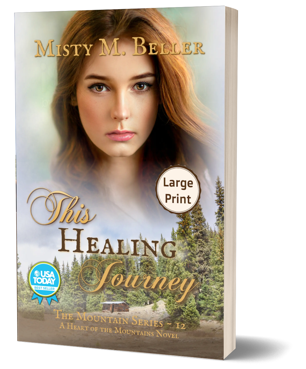 This Healing Journey (The Mountain series Book 12)