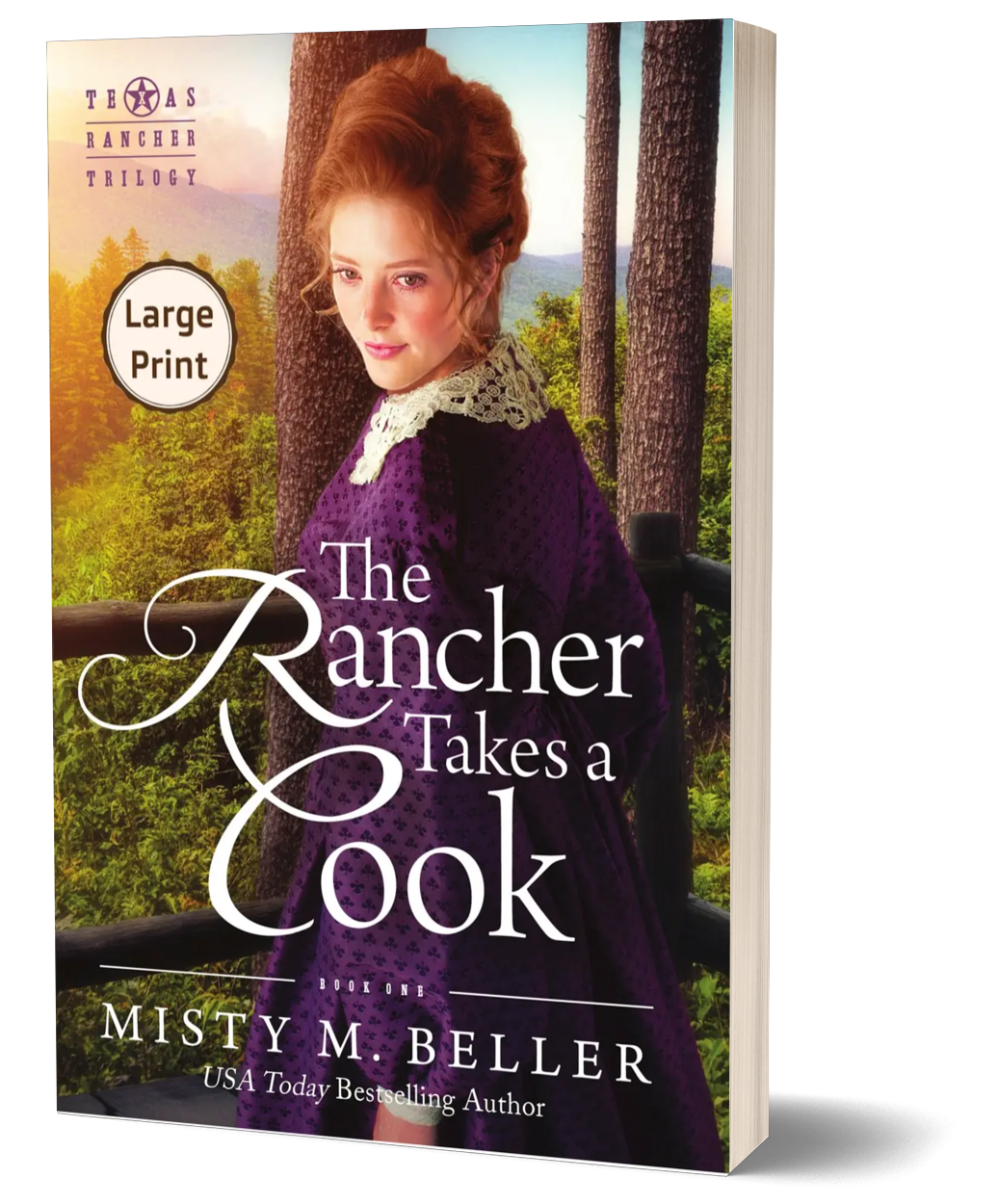 The Rancher Takes a Cook (Texas Rancher Trilogy Book 1)