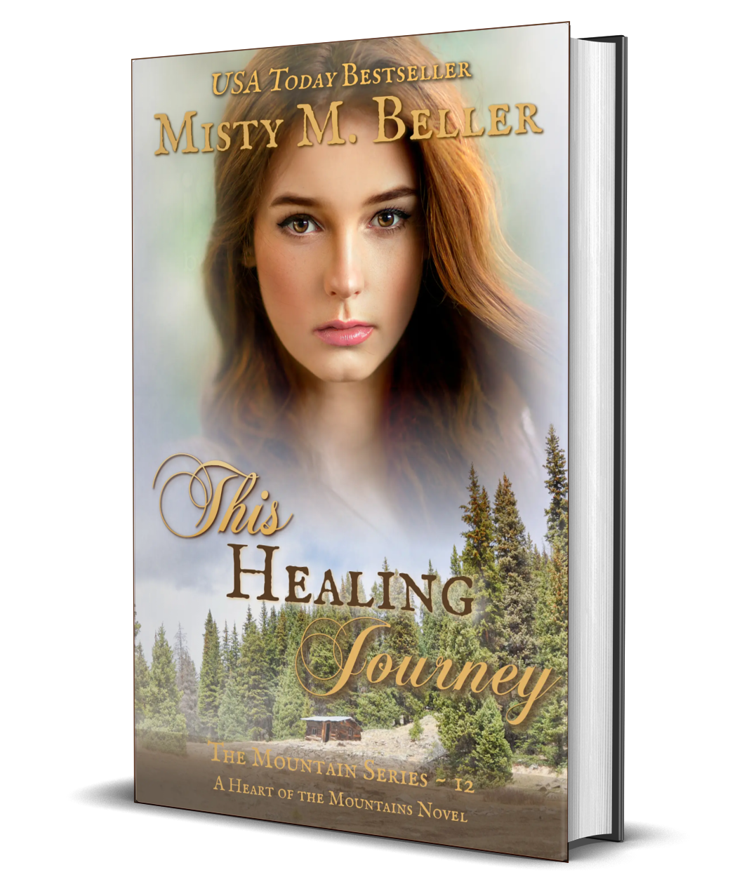 This Healing Journey (The Mountain series Book 12)