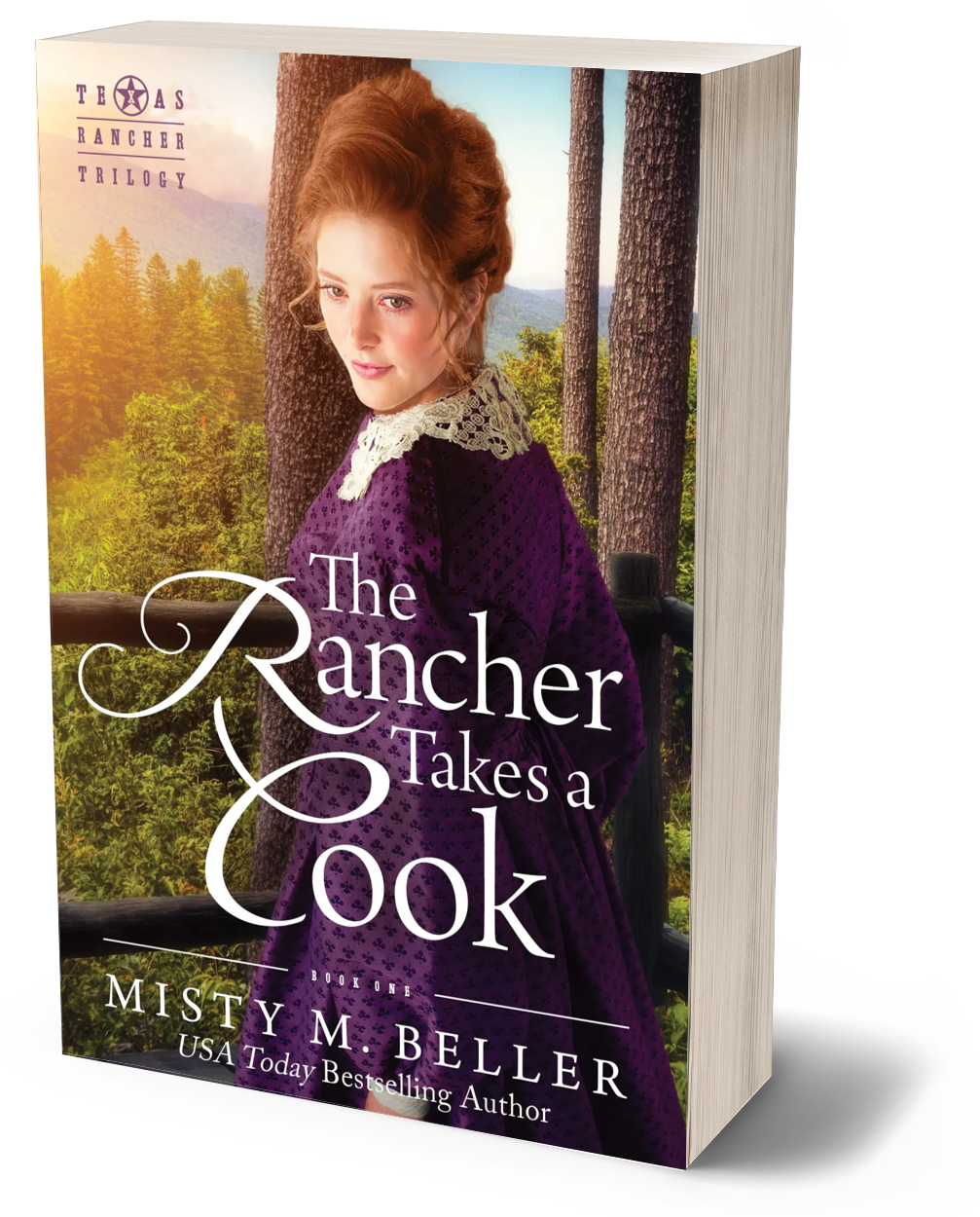 The Rancher Takes a Cook (Texas Rancher Trilogy Book 1)