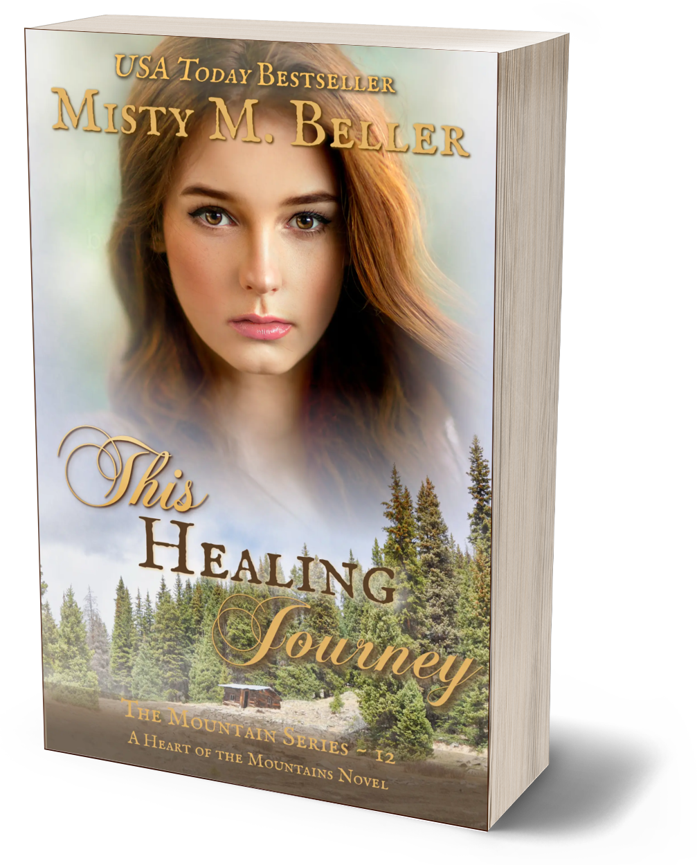 This Healing Journey (The Mountain series Book 12)