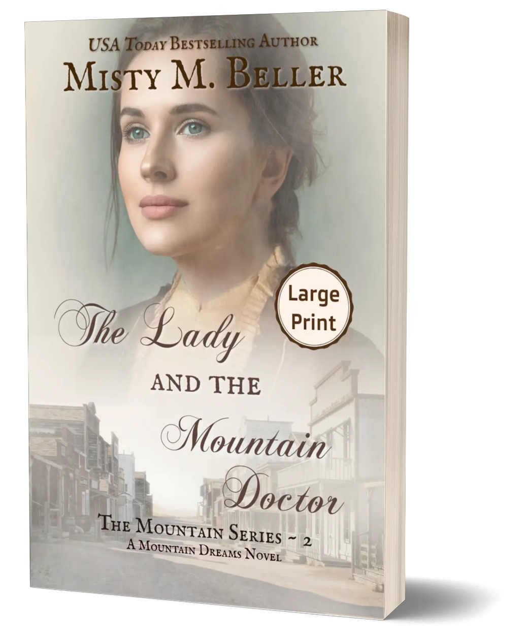 The Lady and the Mountain Doctor (The Mountain Series Book 2)